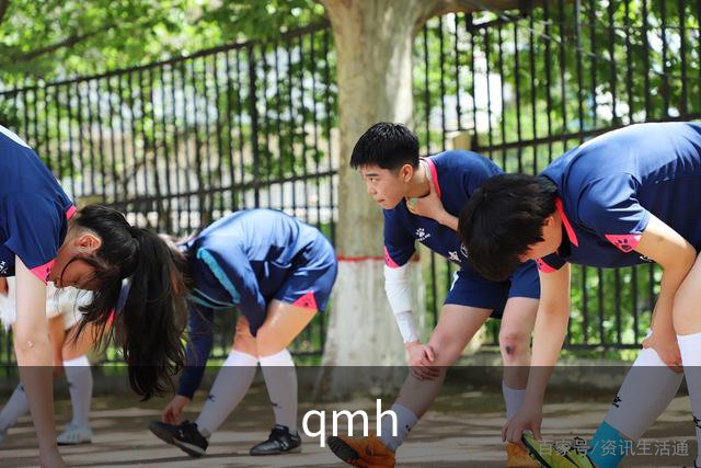qmh公司介绍图片